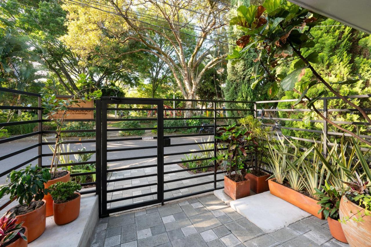 Apartamento Caobo - Forest