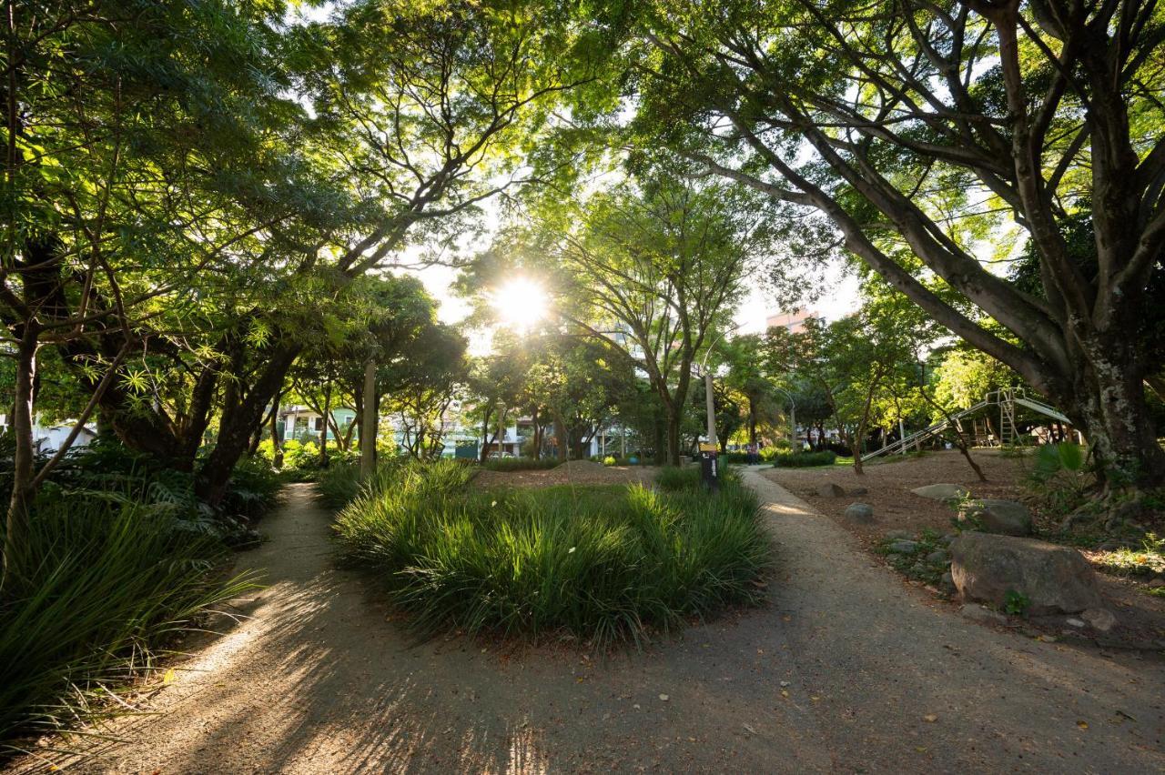 Caobo - Forest Medellín