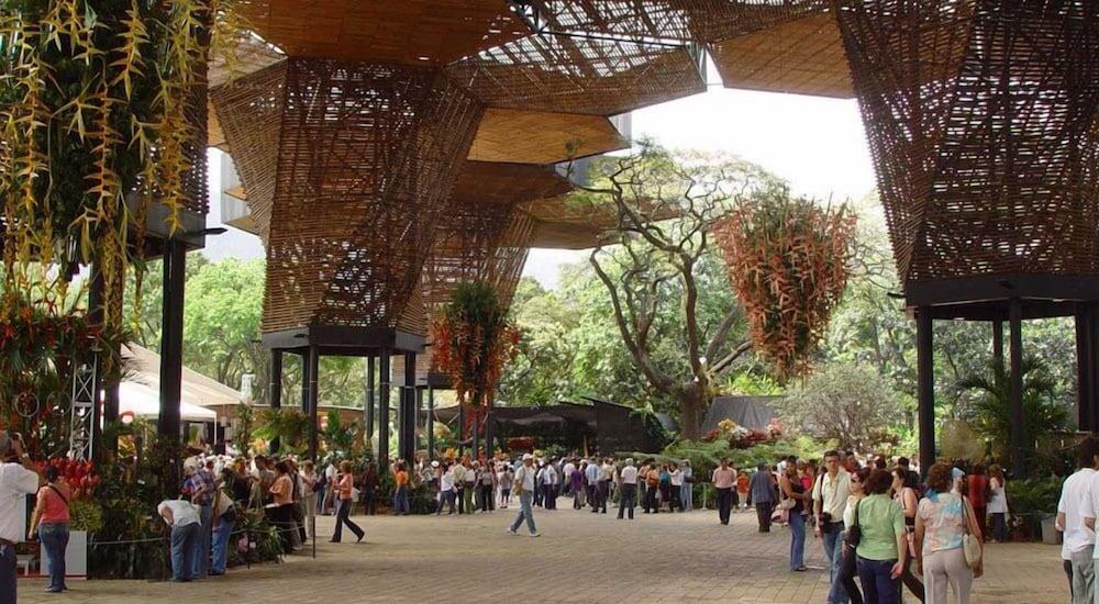 Hotel Palmas Del Estadio