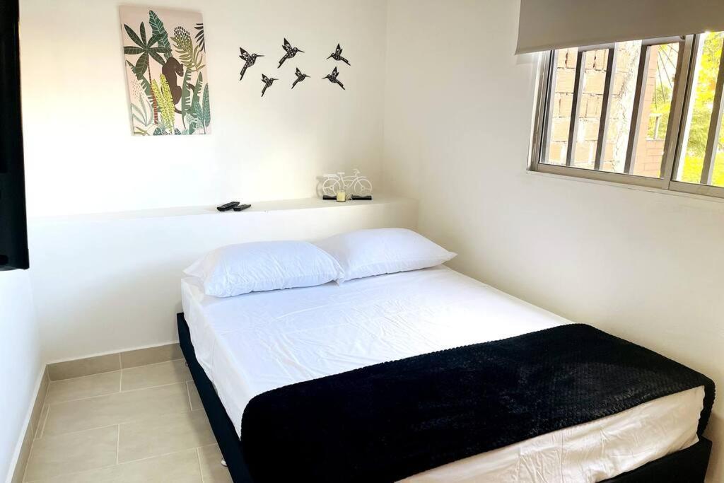 Apartamento Acogedor,luz Natural , Agua Caliente ,200 Mbps,central. Medellín