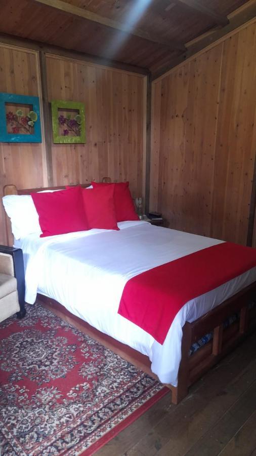Moon Night Hostel-santa Elena Pantanillo Bed and breakfast