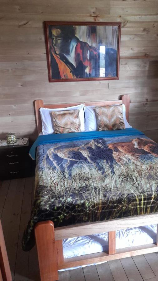 Moon Night Hostel-santa Elena Pantanillo Bed and breakfast Medellín