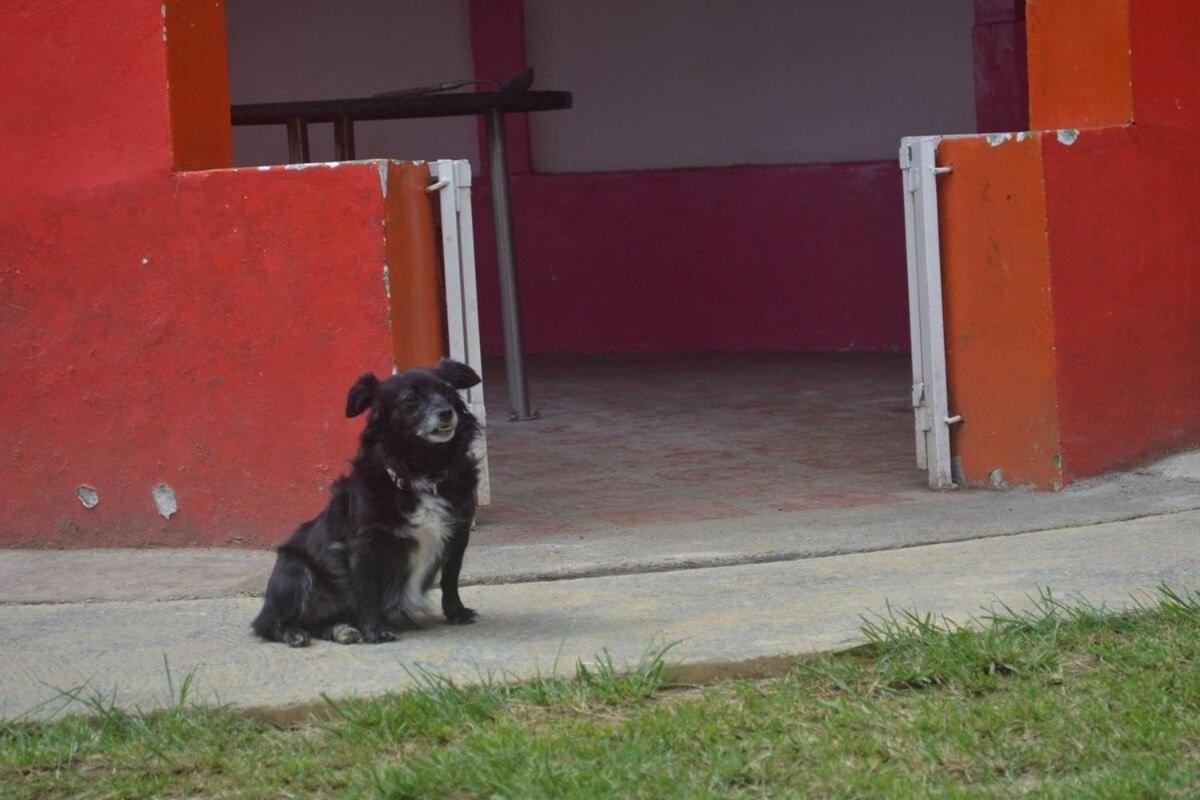 Encantadora - Santa Elena * Medellín