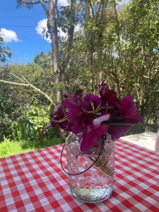 El Bosque De Julia Holiday home