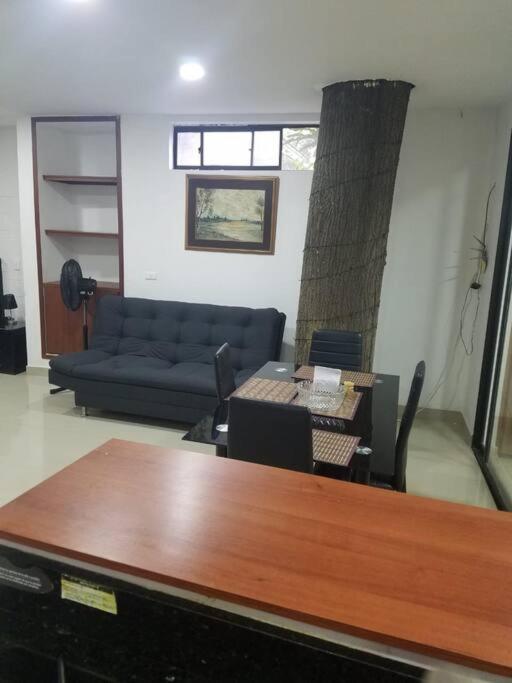 Apartamento Confort En Zona Ecologica, Loft En Pilarica 2