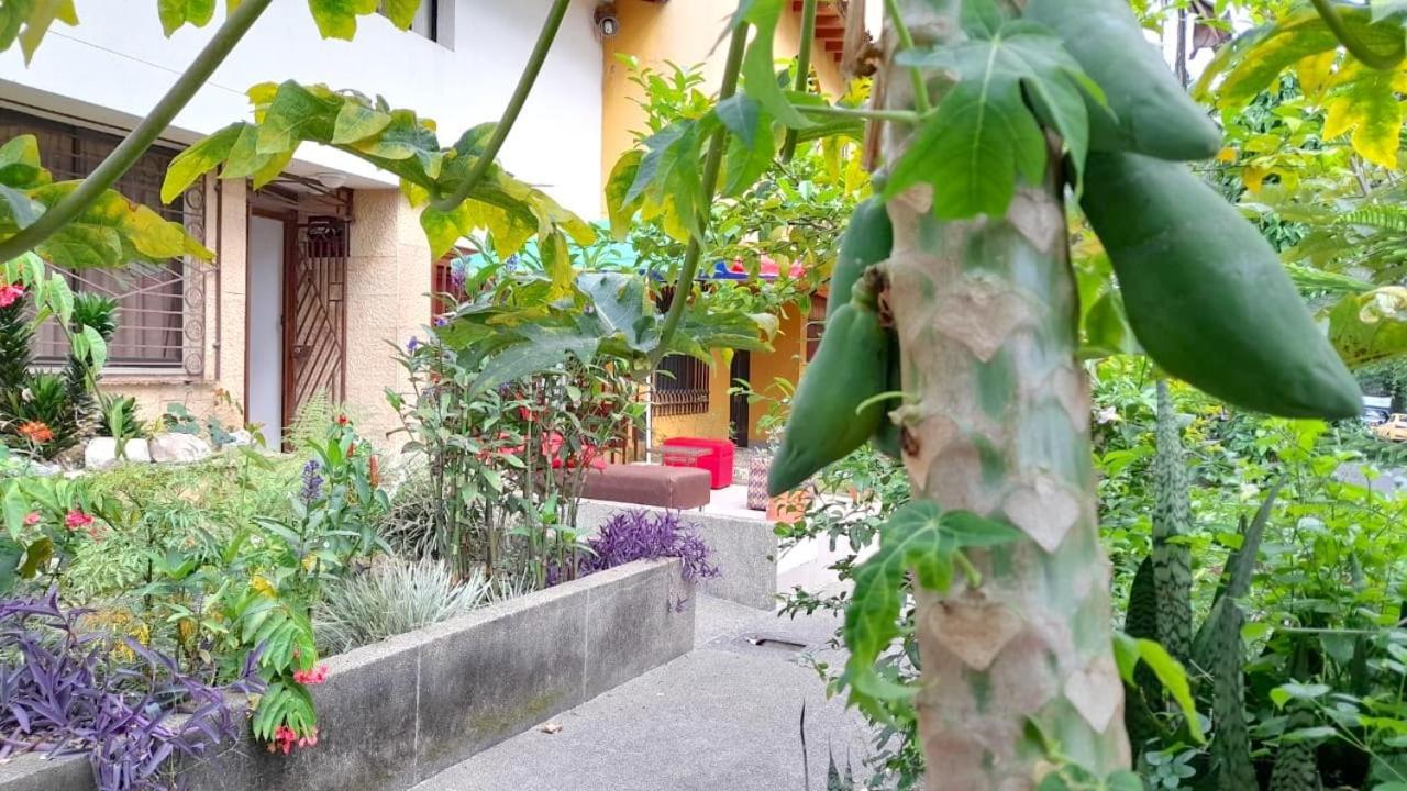 Saveva Estudio Grupos Y Familias Medellín