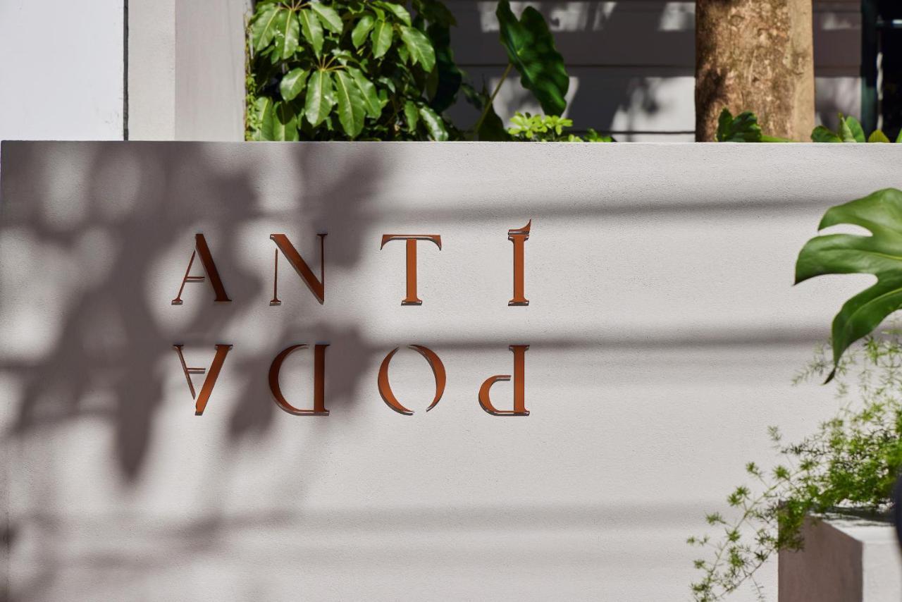 Antipoda Boutique