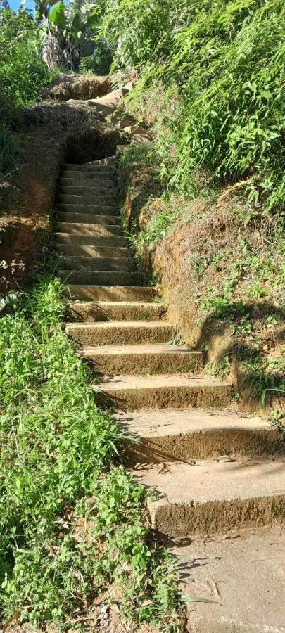 Casita El Mirador Solo Naturaleza Casa rural