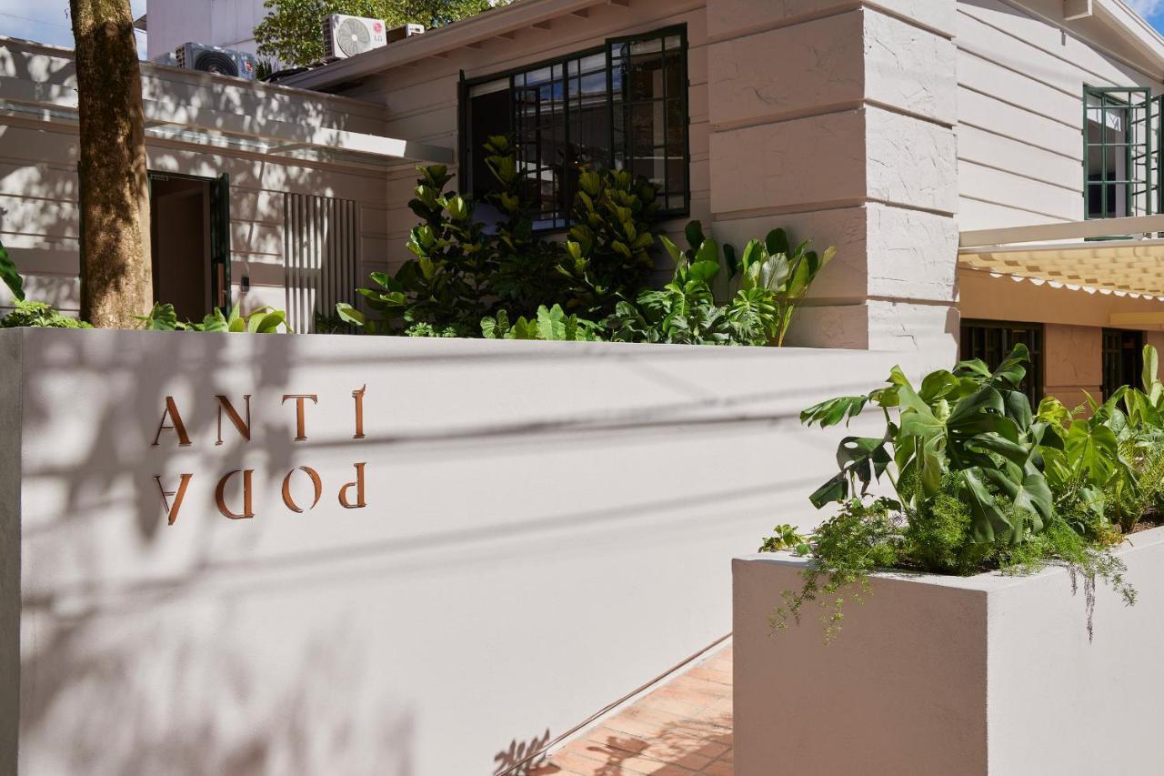 Antipoda Boutique