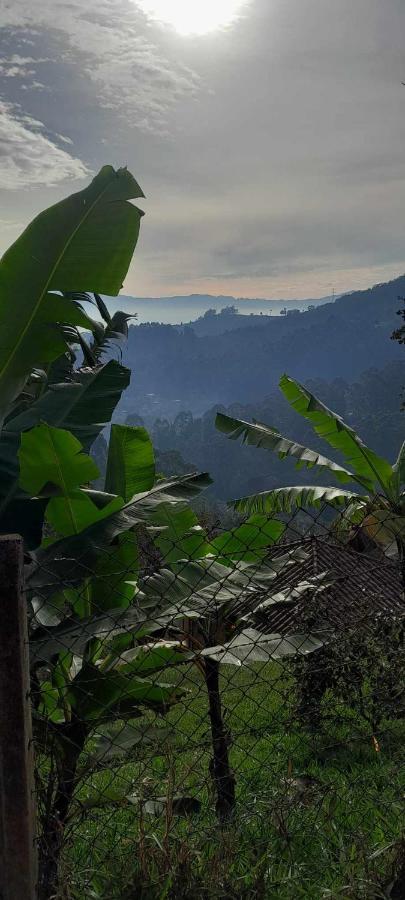 Casita El Mirador Solo Naturaleza