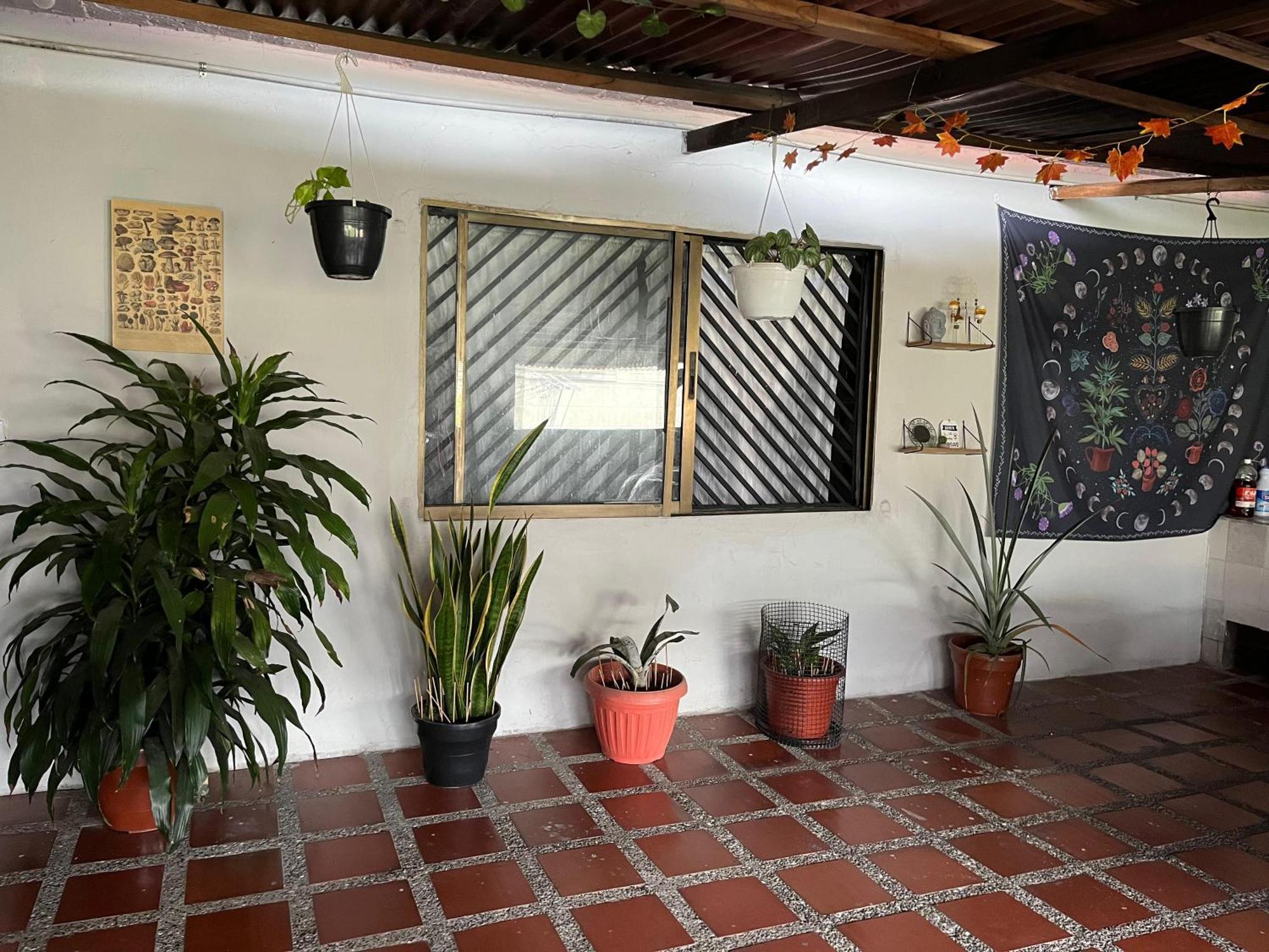 Place Apartment Medellin