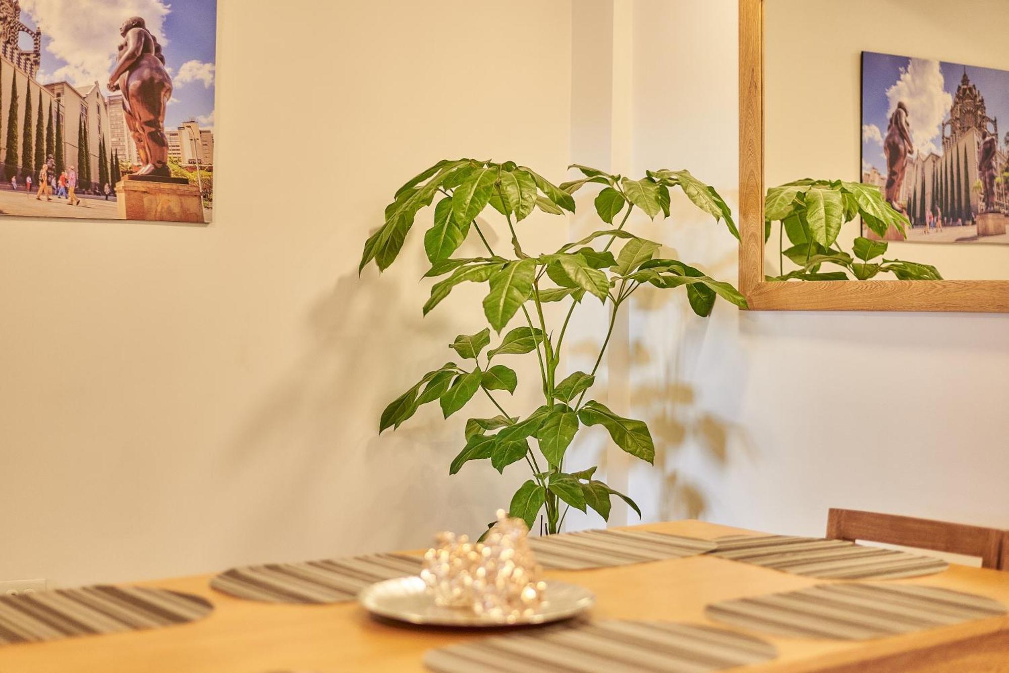 5starhomes - Comodidad Y Encanto En Laureles * Medellín