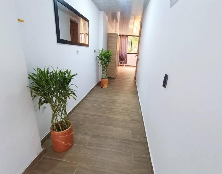 Edificio Floresta Apto 401 Apartamento