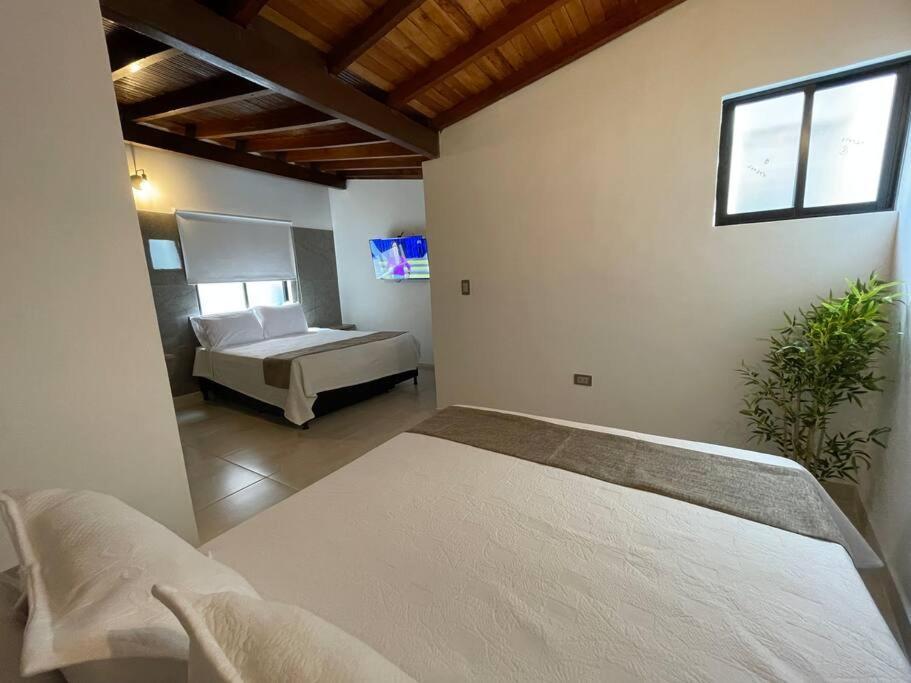 Lindo Aparta Estudio 302