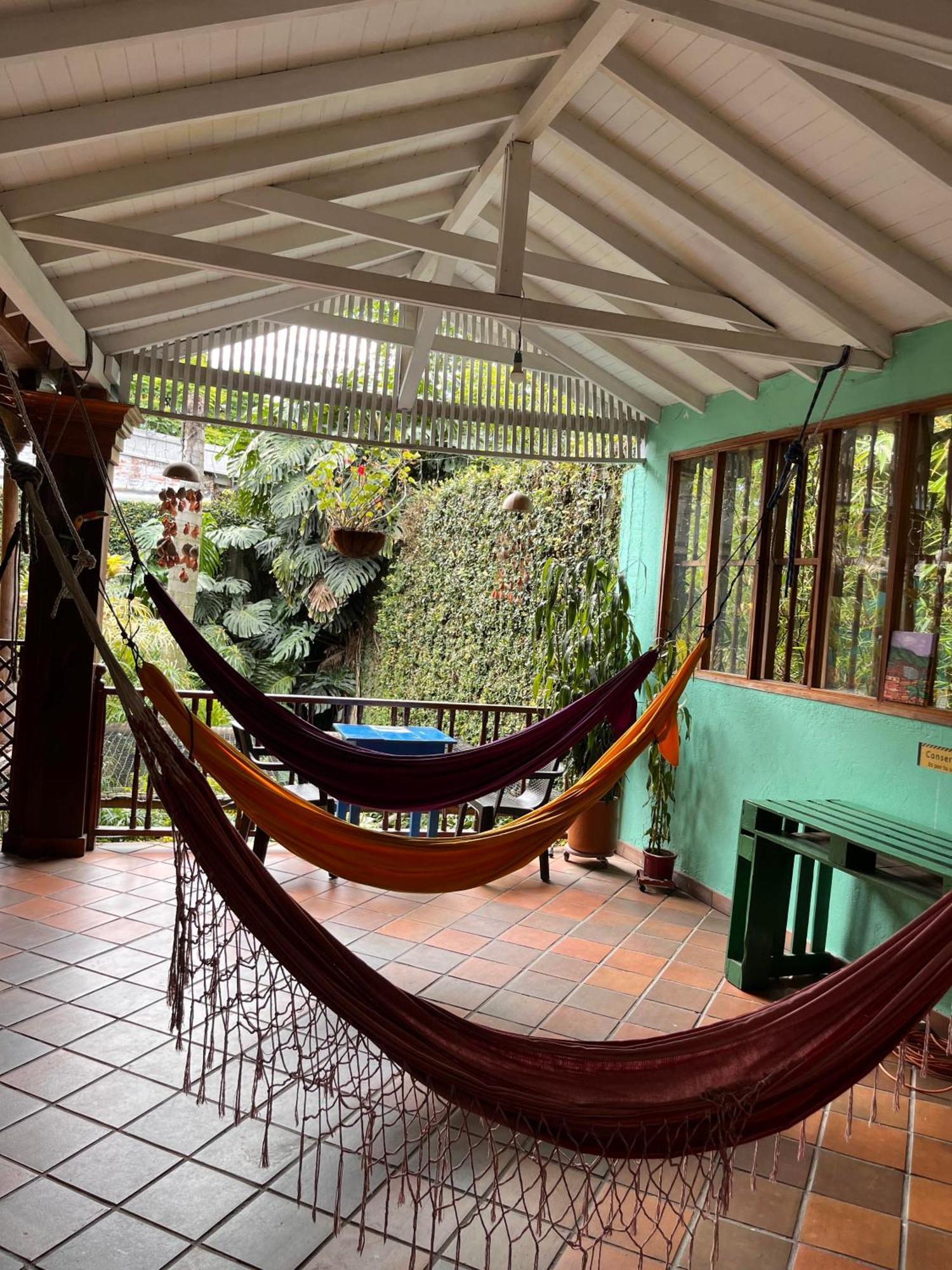 Hostel Yolo