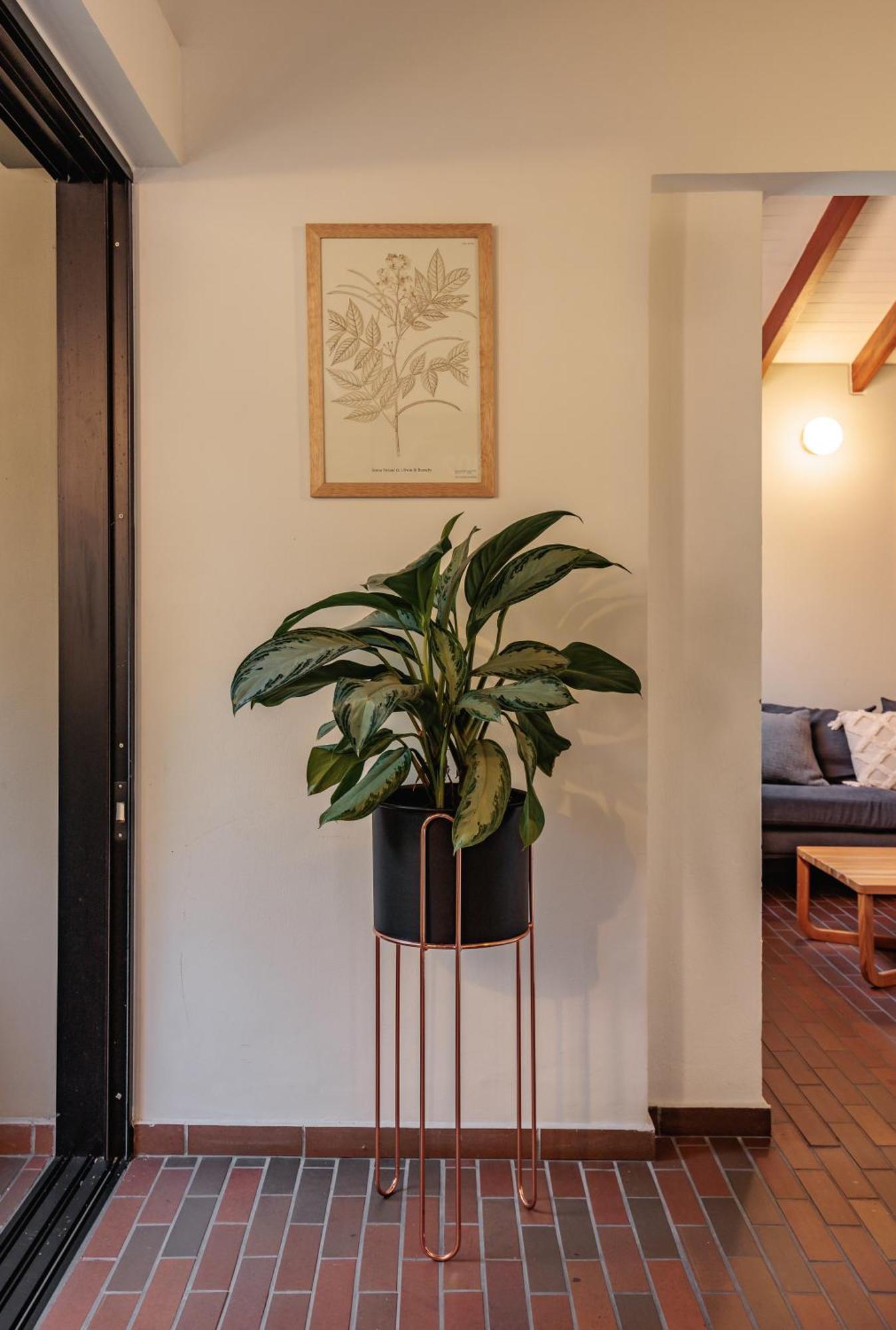 The Somos Flats Laureles Medellín