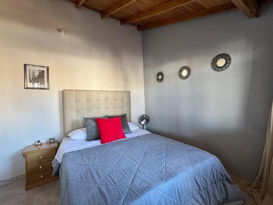 Apartamento Con Terraza Estadio *