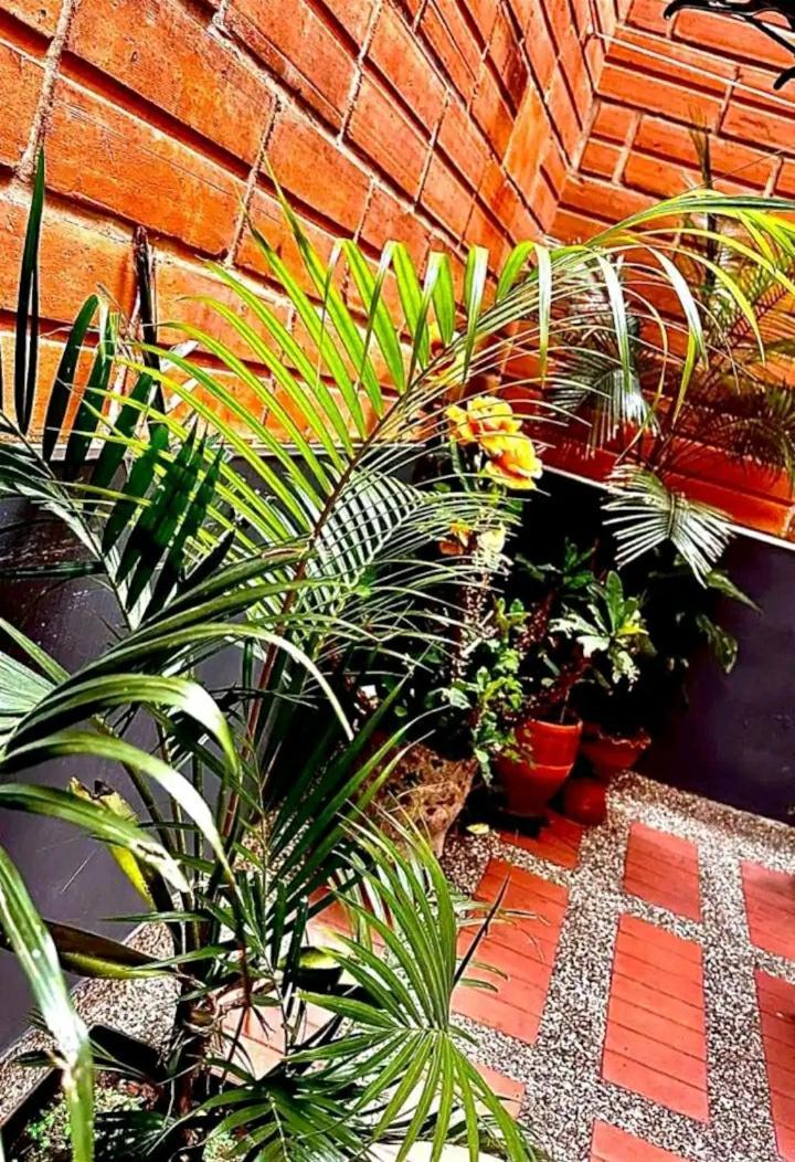 Casa Laureles * Medellín