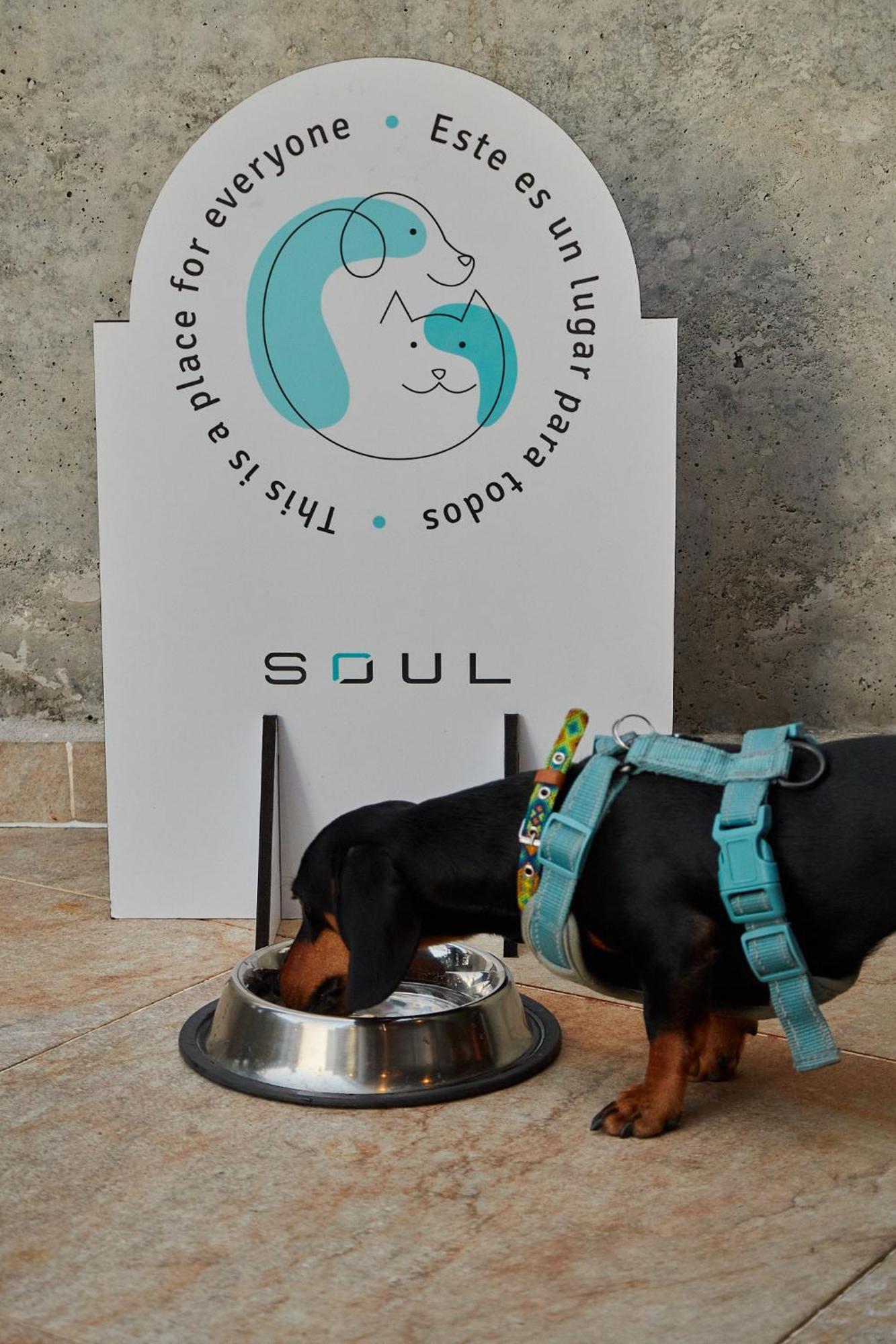 Soul Lifestyle Hotel Medellin