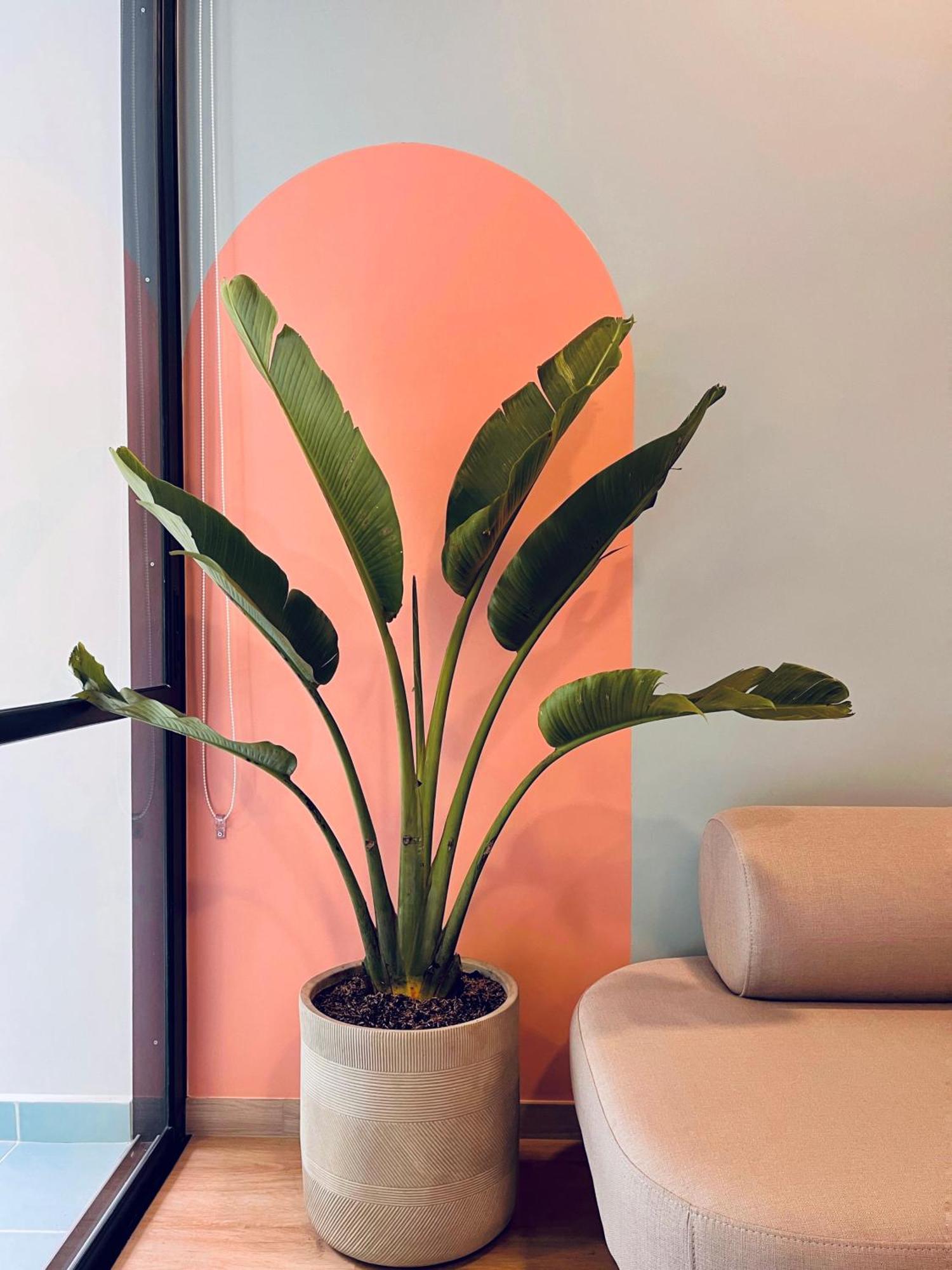 Apartahotel Hojarasca By Wynwood House