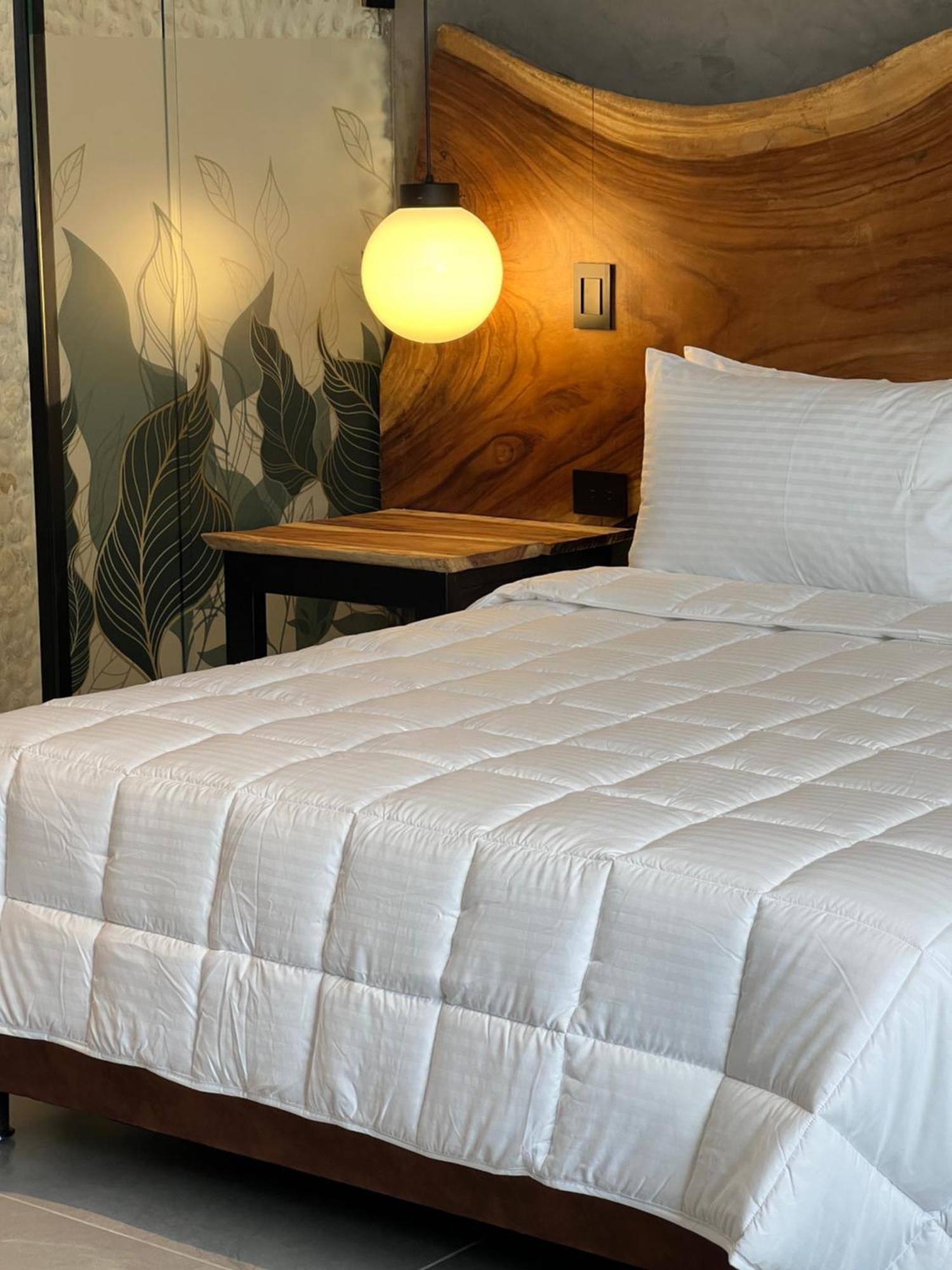Zelva Negra Hotel Medellín