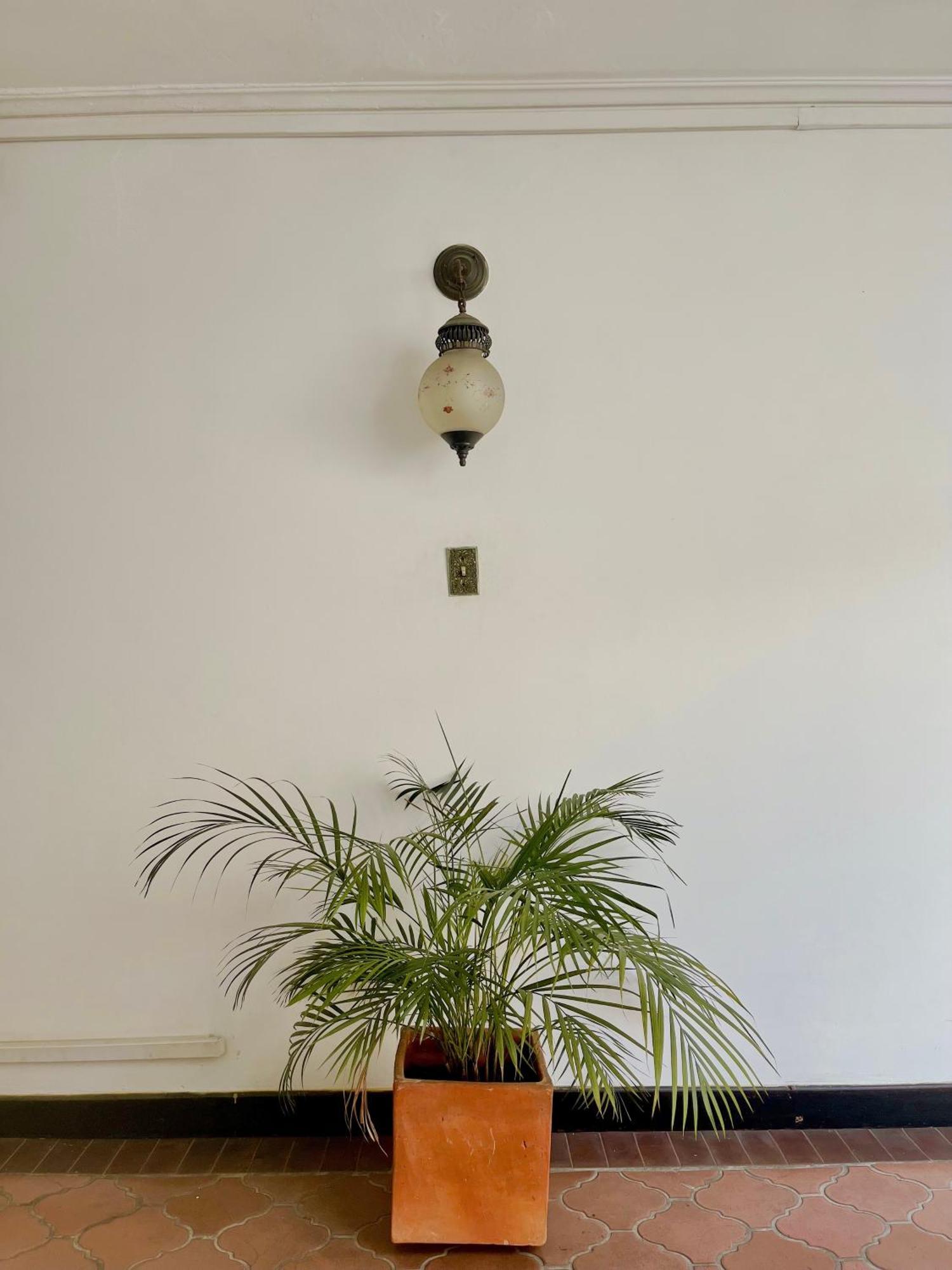 Calibrí, La Casa Libre Del Río Medellín