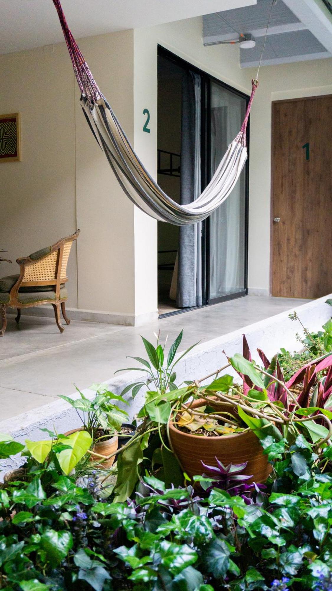 Selva House Bed and breakfast Medellín