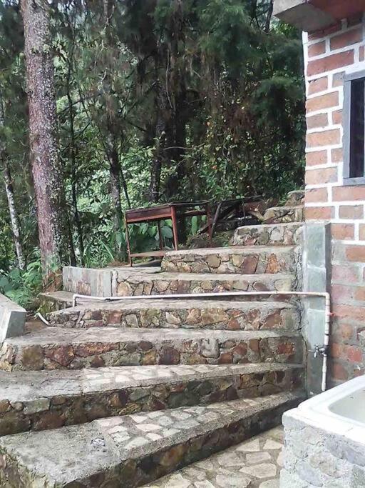 Wifi, 20 Personas, Chimenea, Cascadas, Naturaleza *