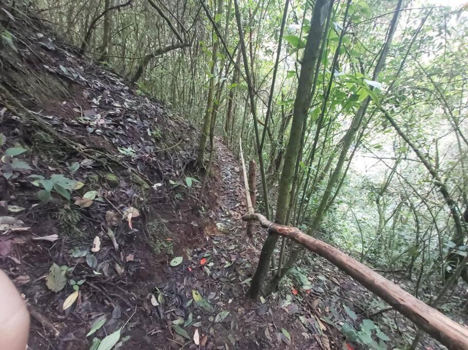 Wifi, 20 Personas, Chimenea, Cascadas, Naturaleza