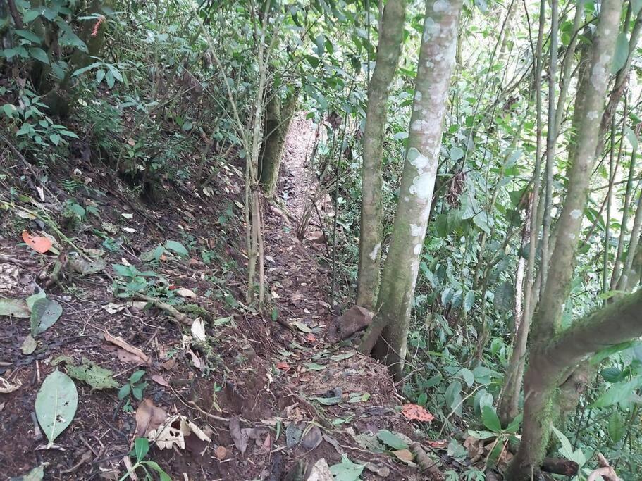 Wifi, 20 Personas, Chimenea, Cascadas, Naturaleza *