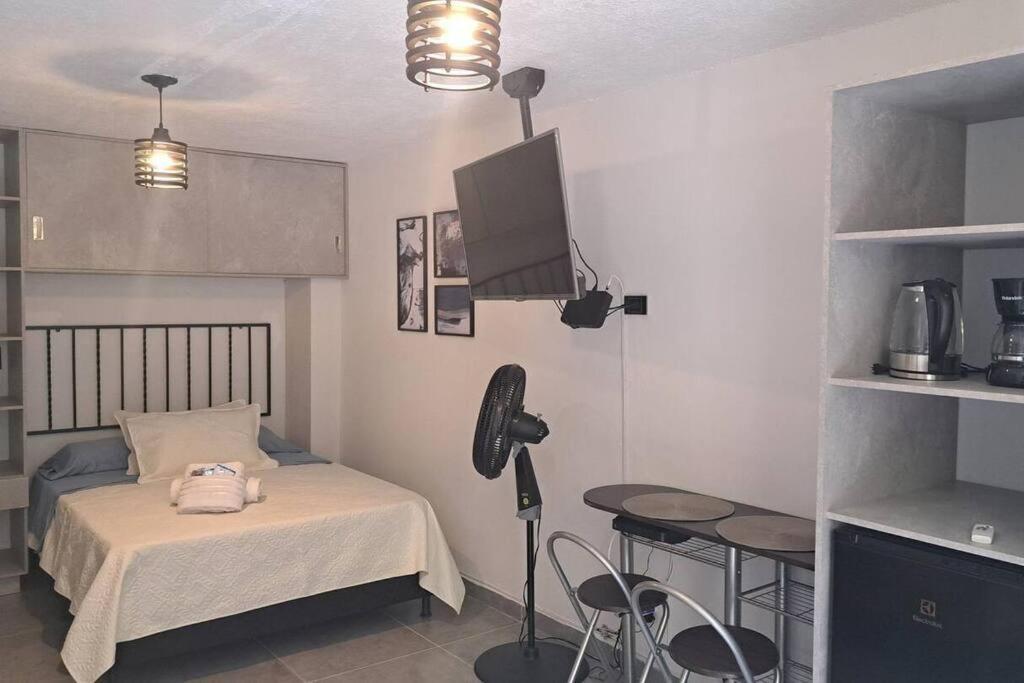 Exclusive In The Laureles Area Medellín