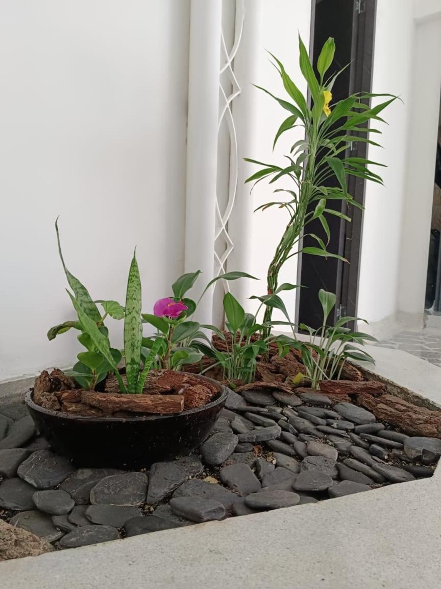 Apartment 102 En Laureles Cerca Al Estadio Y La 70