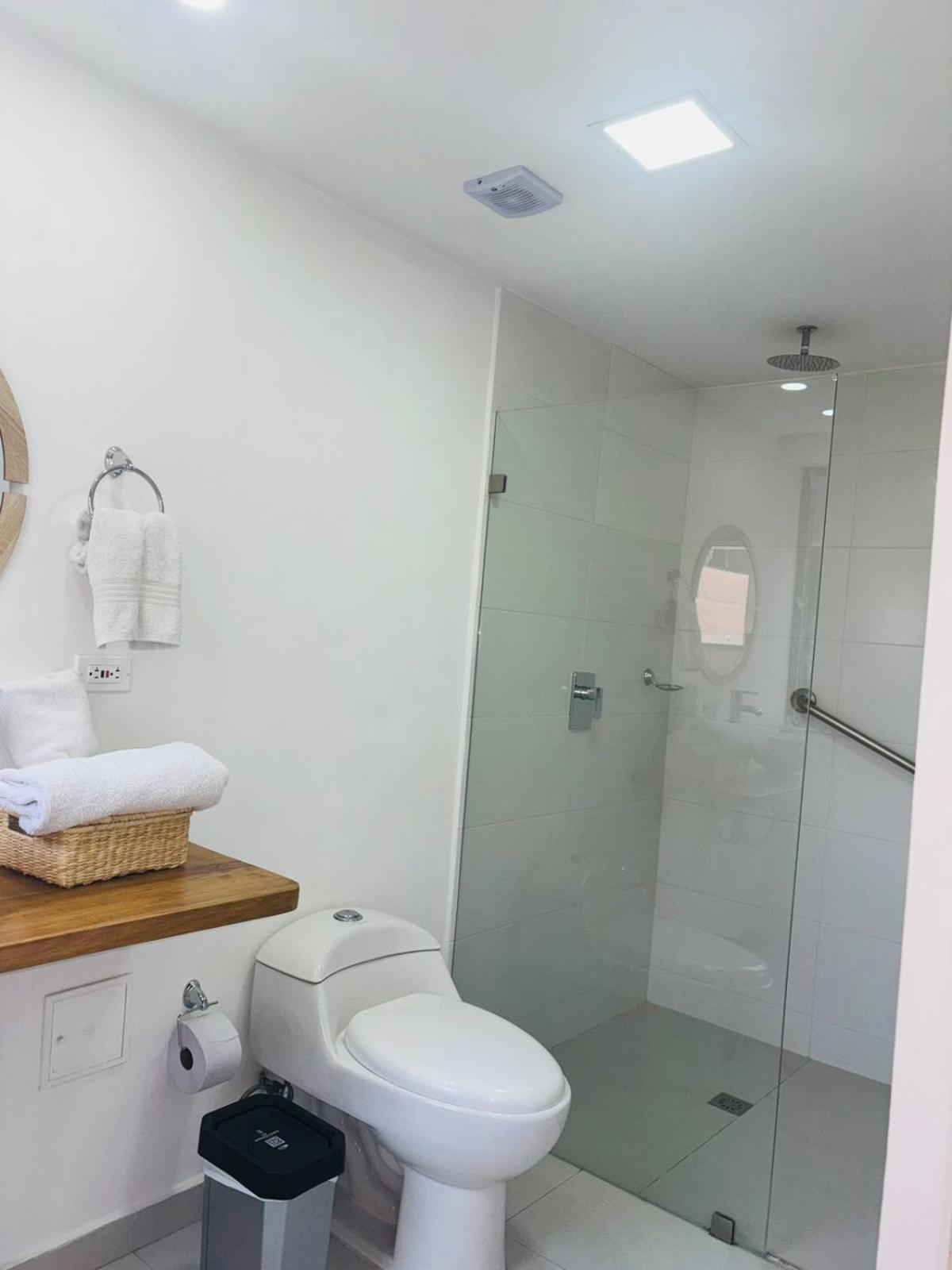 Bambu Milla De Oro Medellín