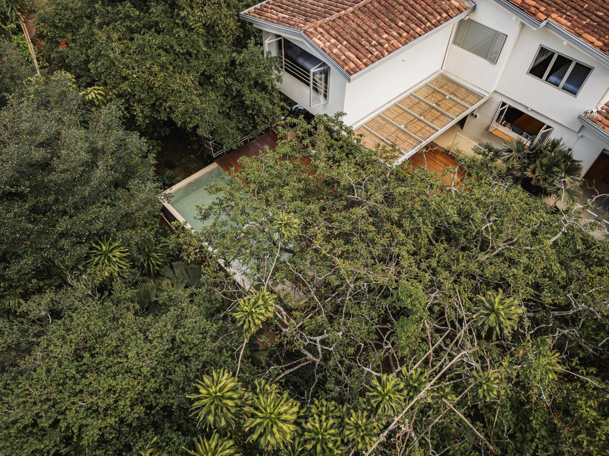 Casa Selva, A Unique Luxury House In The Heart Of El Poblado Сasa de vacaciones *