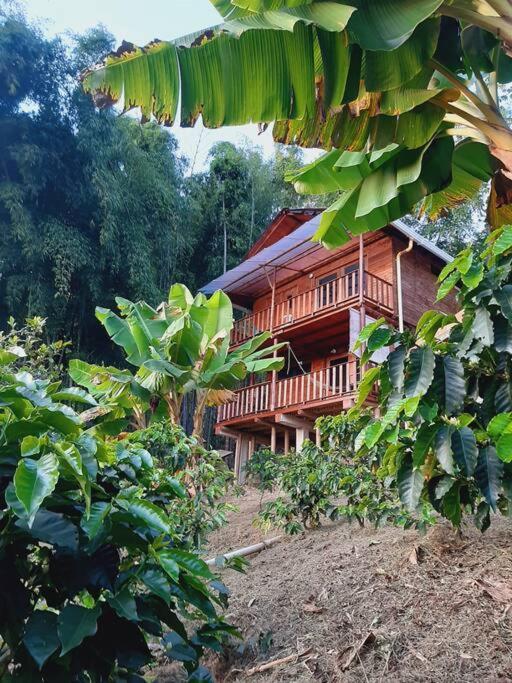 Country house El Moral