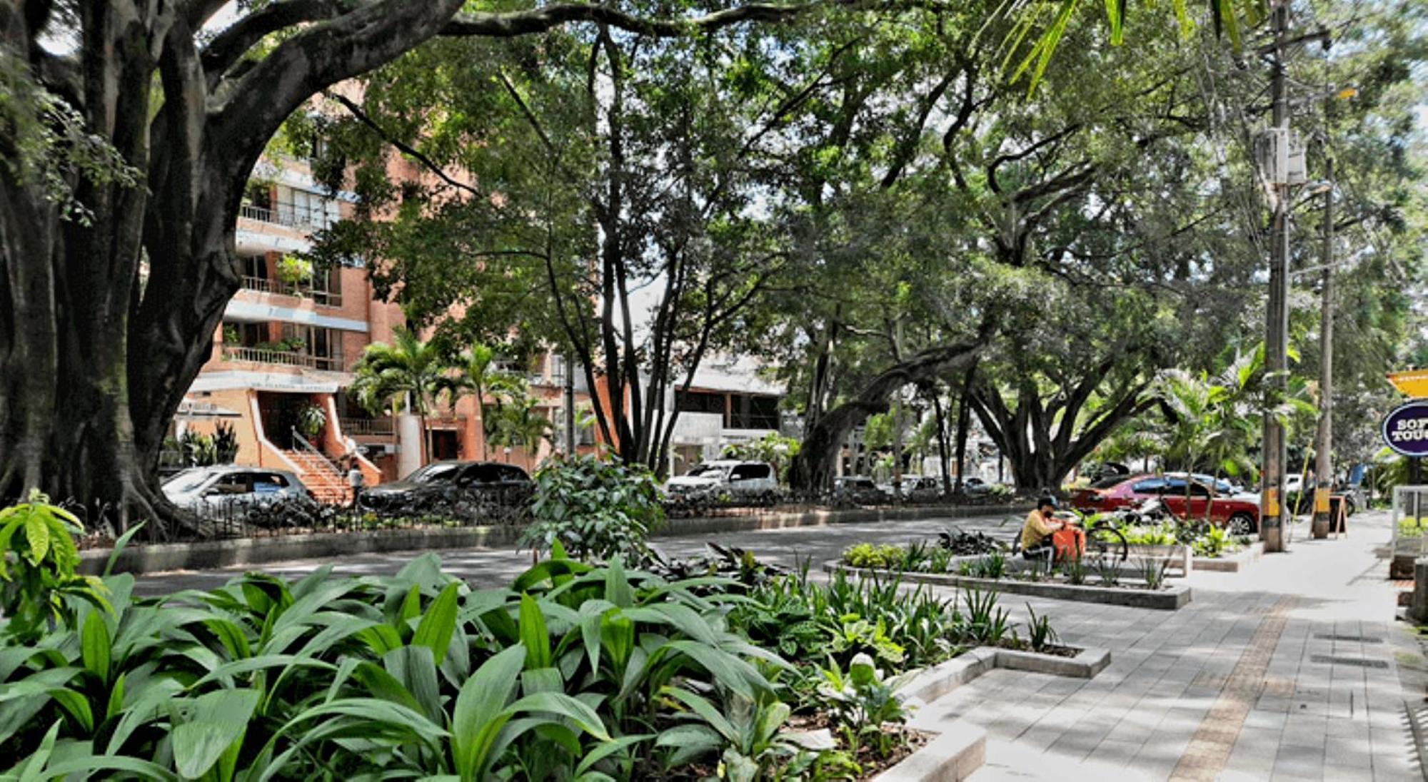 Laura Exclusivos Con Ascensor Privado En Laureles Apartamento Medellín