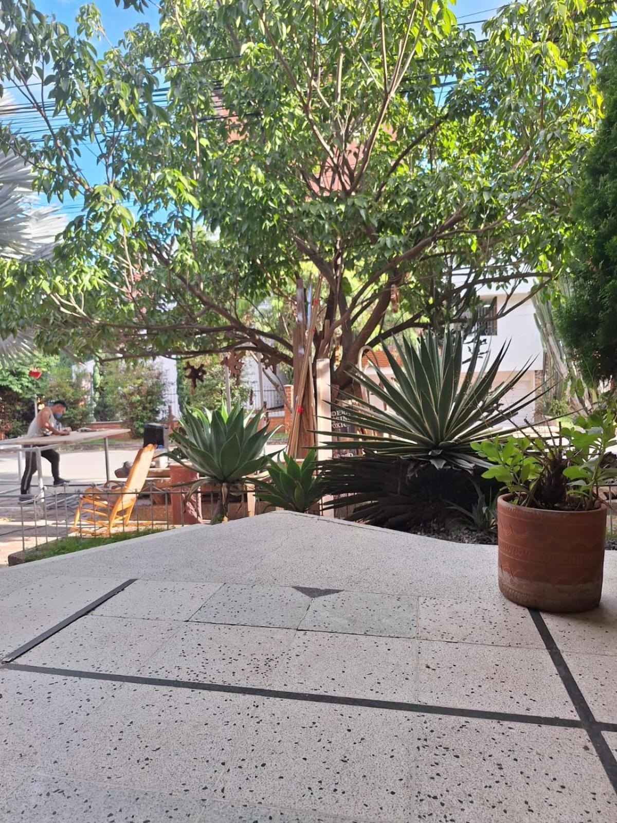 Guest house Casa Babylon