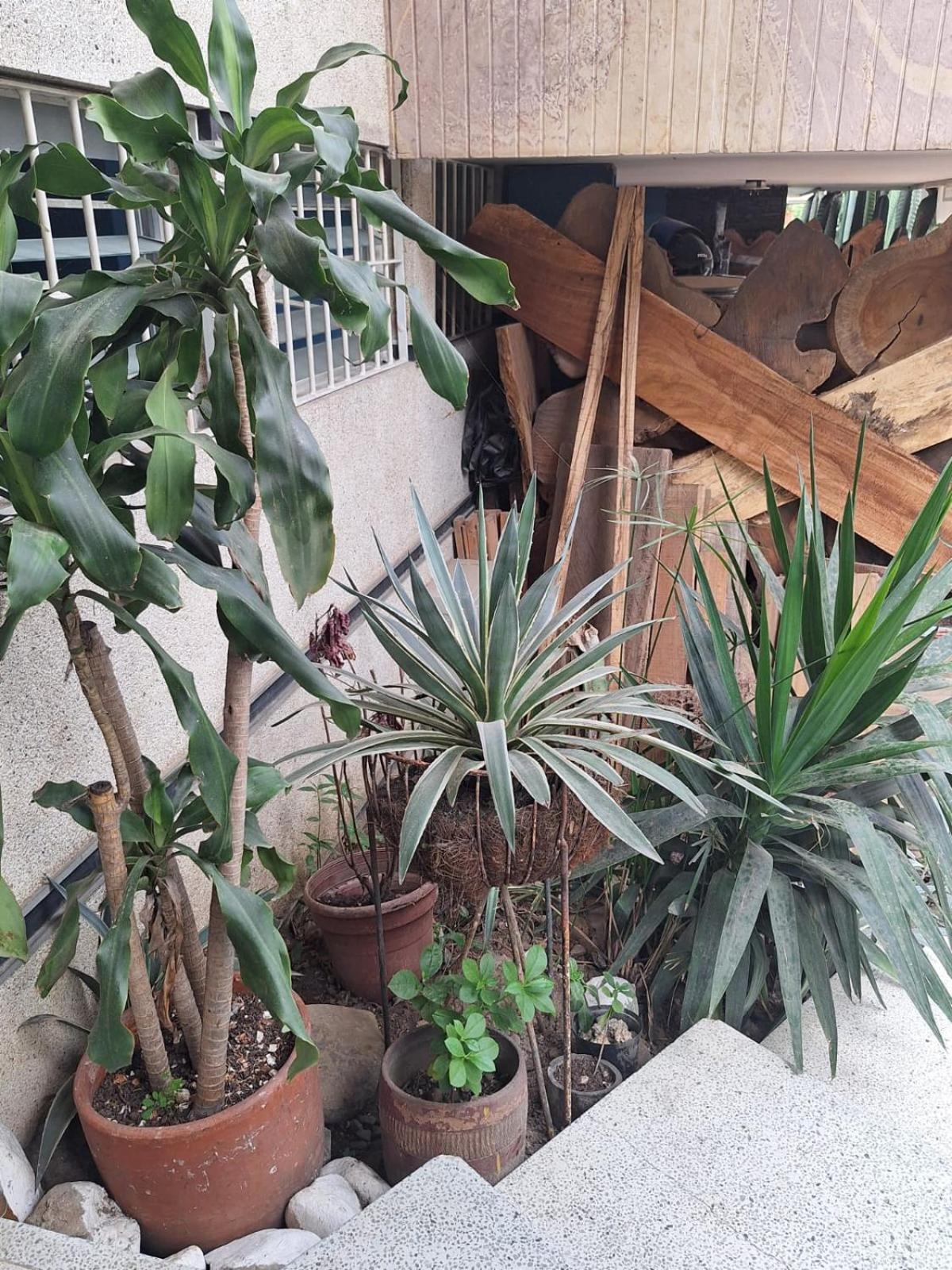 Casa Babylon * Medellin