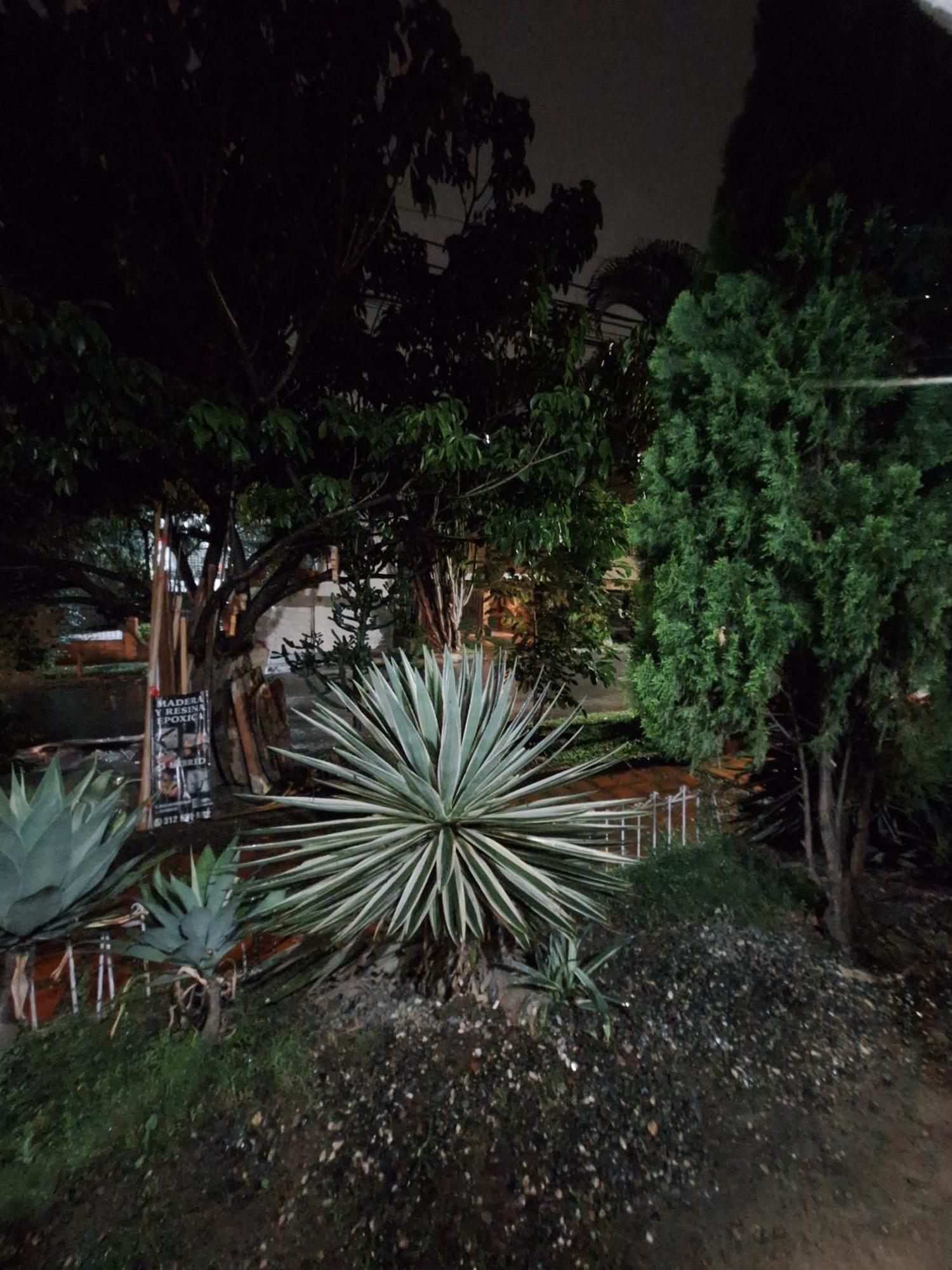 Guest house Casa Babylon