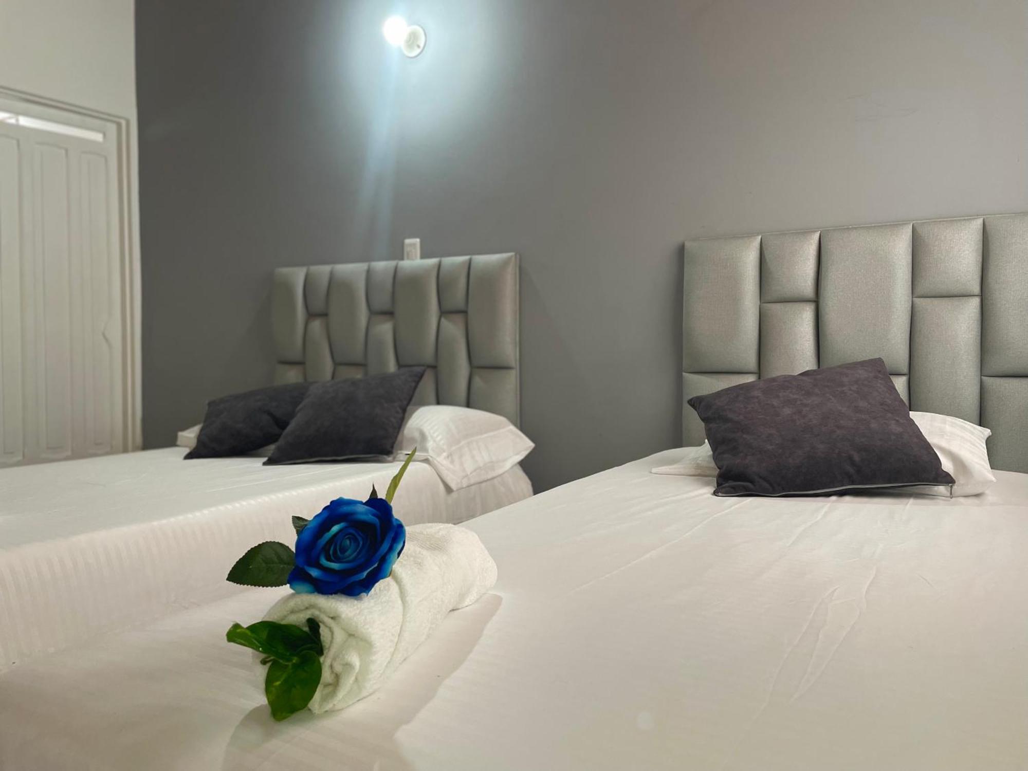 Homer Colors - Tu Hogar En 20 Personas Guest house