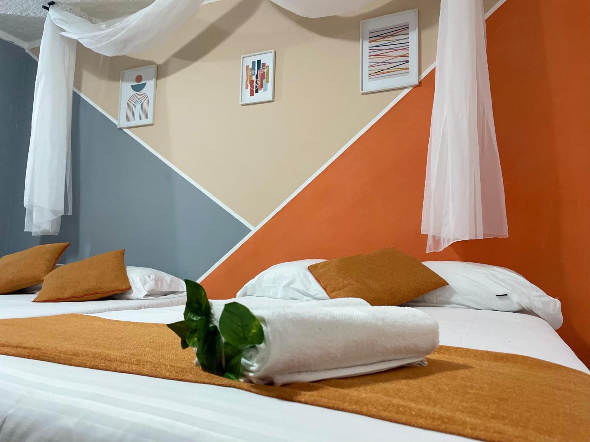 Pensión Homer Colors - Tu Hogar En 20 Personas Medellín