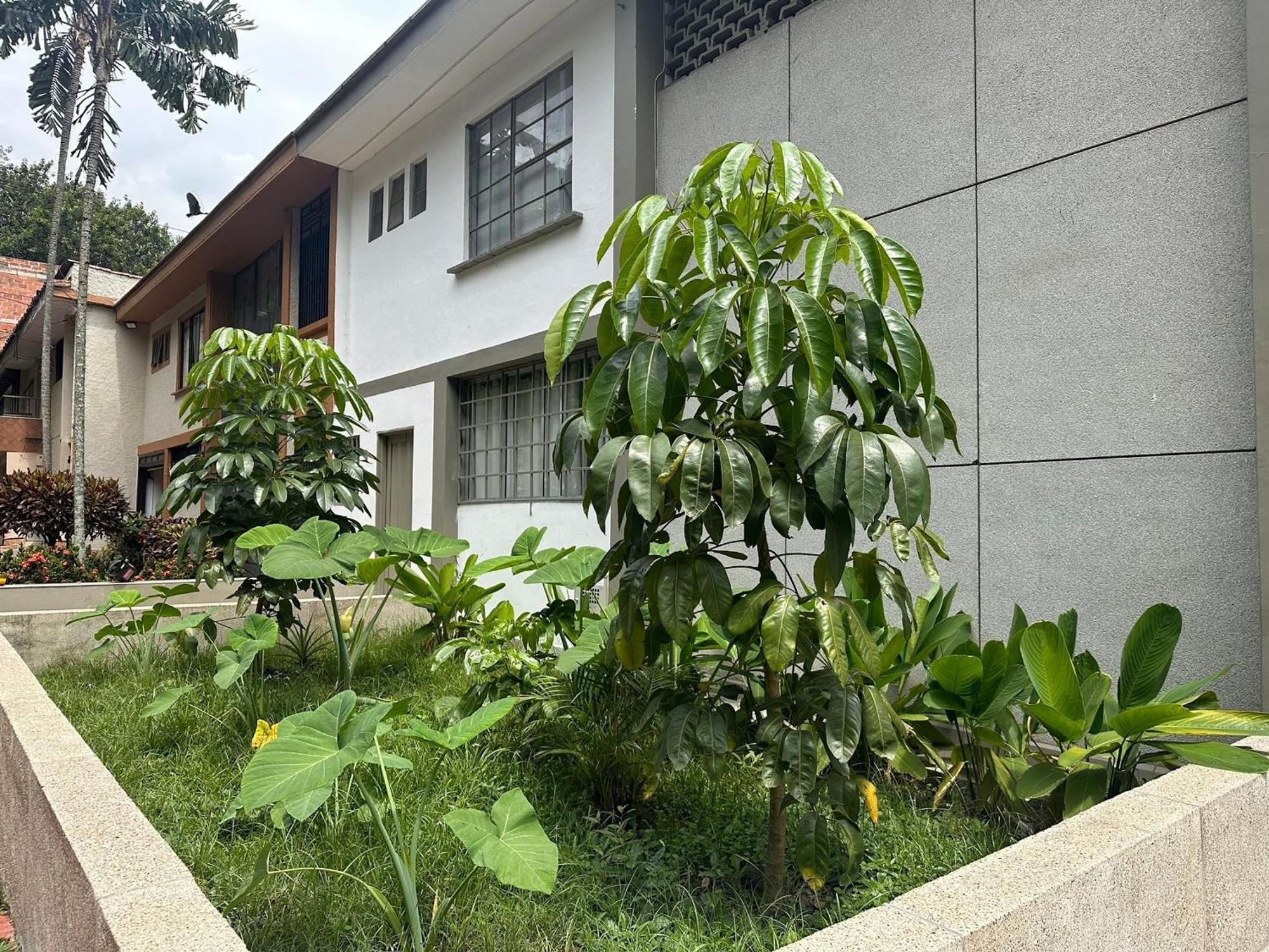 Apartamento Y Loft En Zona Rosa De Laureles