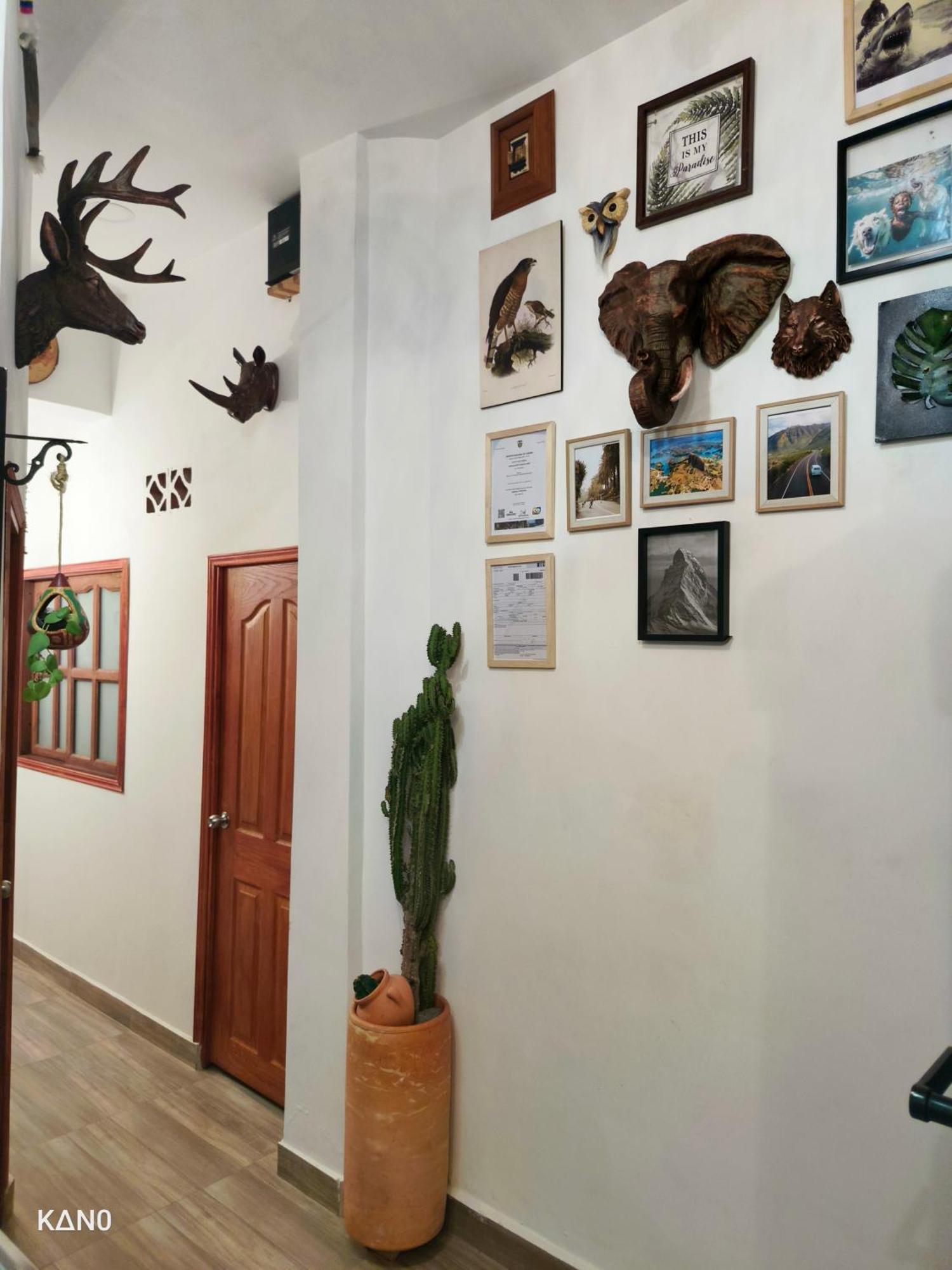 Inn Oasis Blue Laureles Medellín