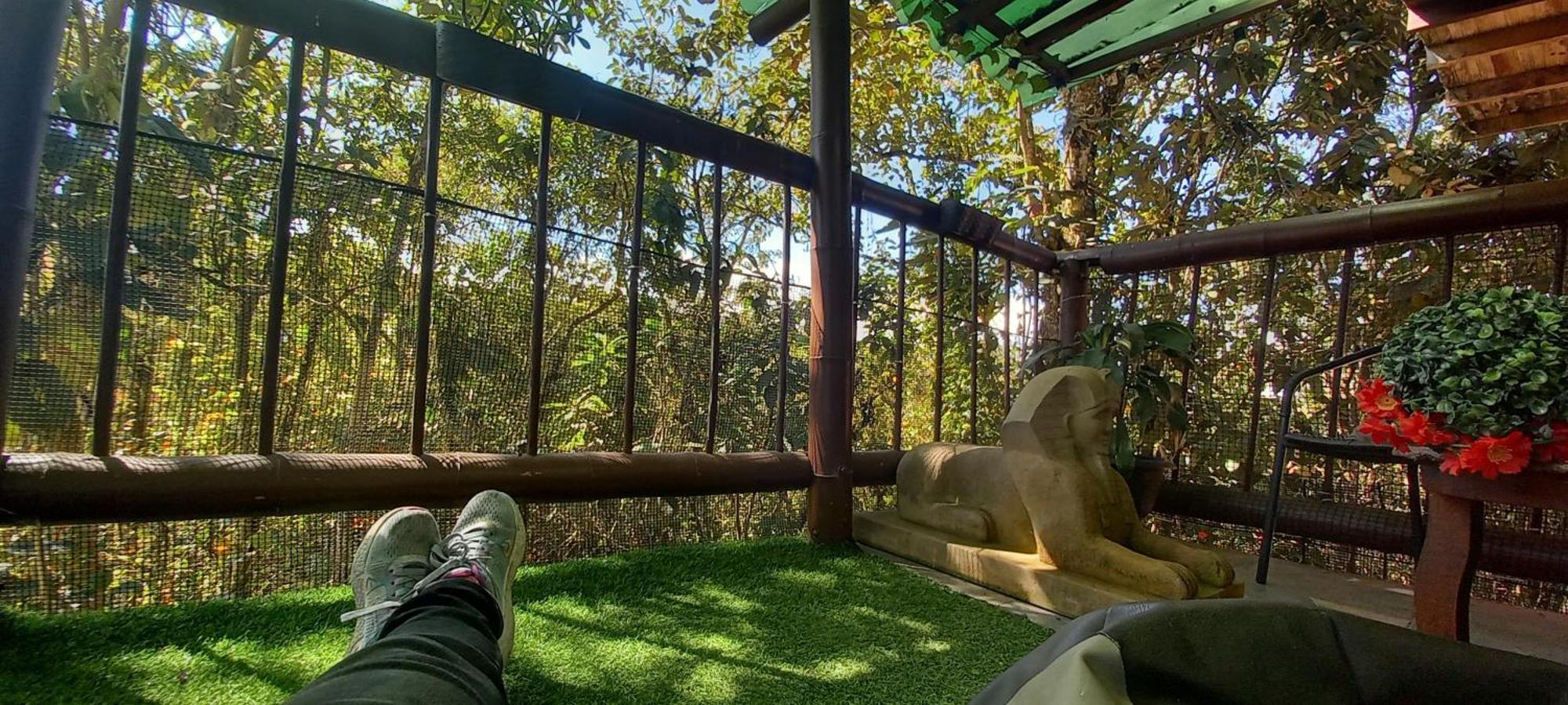 Boresta House -santa Elena Con Vista Al Bosque Y Terraza Privada Apartamento