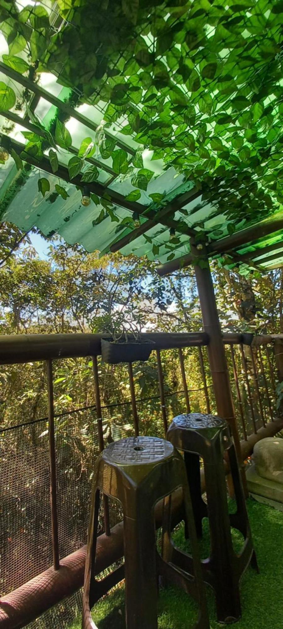 Boresta House -santa Elena Con Vista Al Bosque Y Terraza Privada *
