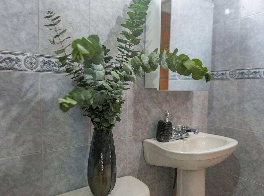 Apartamento Beautiful In Laureles 300mb Wifi *
