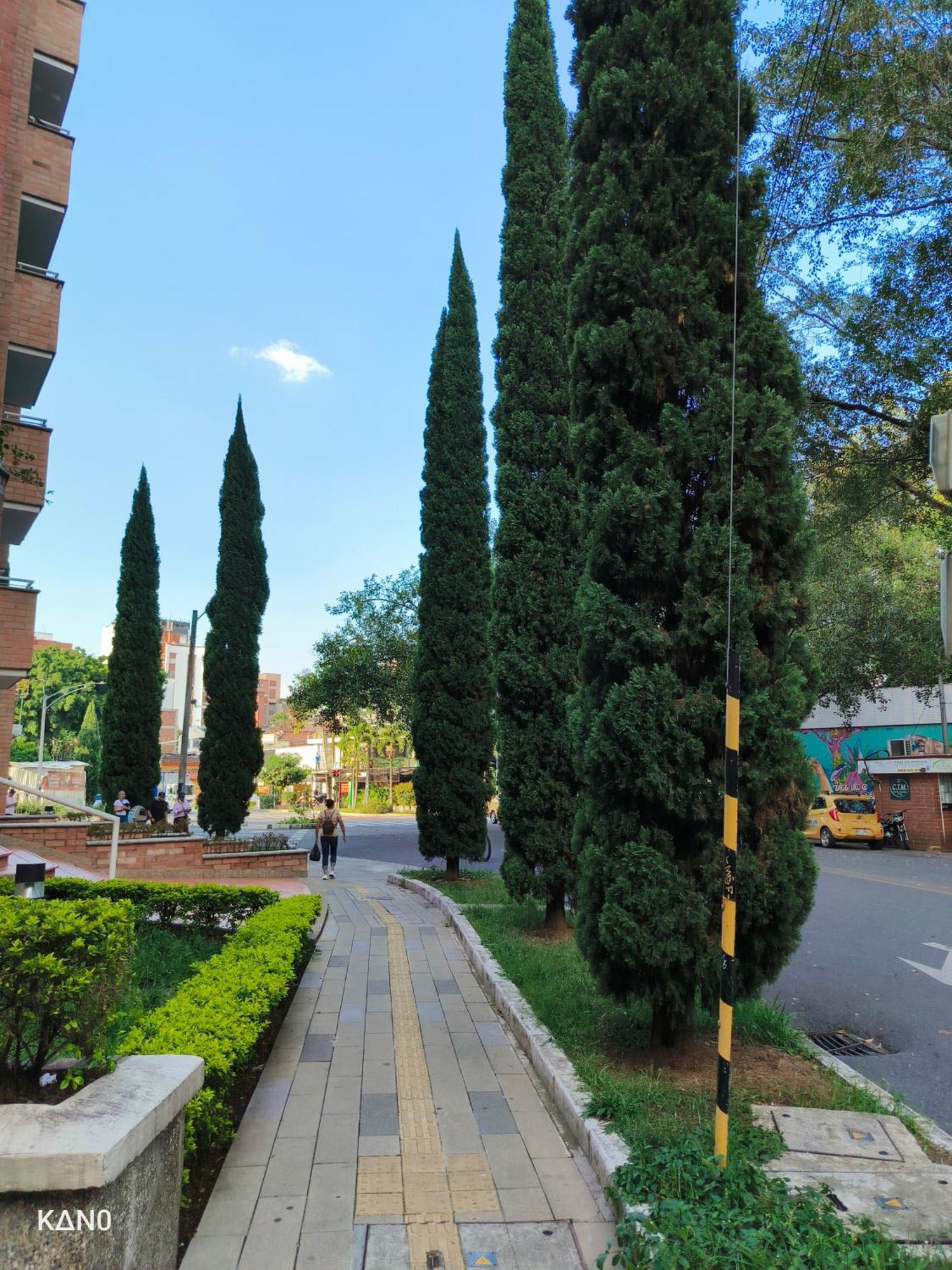 Oasis Blue Laureles Inn Medellín