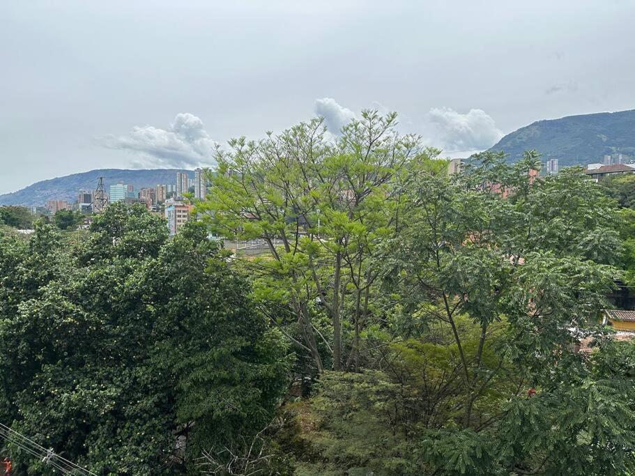 Apartamento Cozy In Poblado With Jacuzzi *
