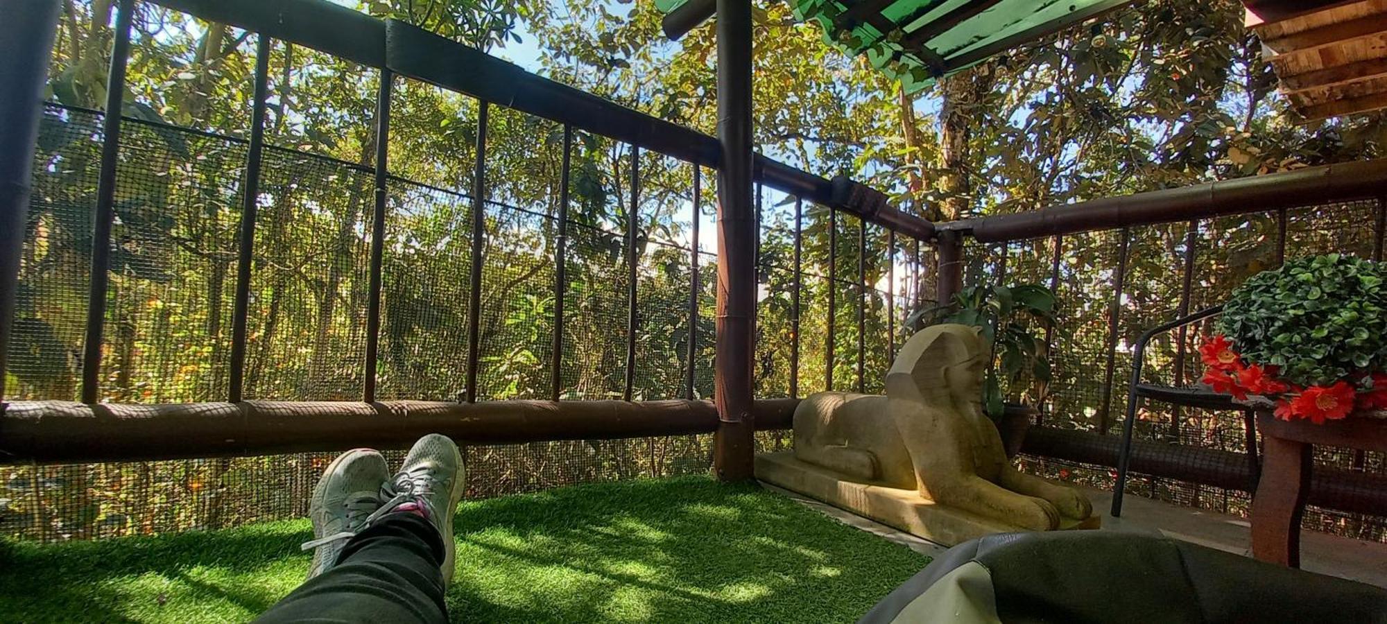 Boresta House -santa Elena Con Vista Al Bosque Y Terraza Privada Apartamento