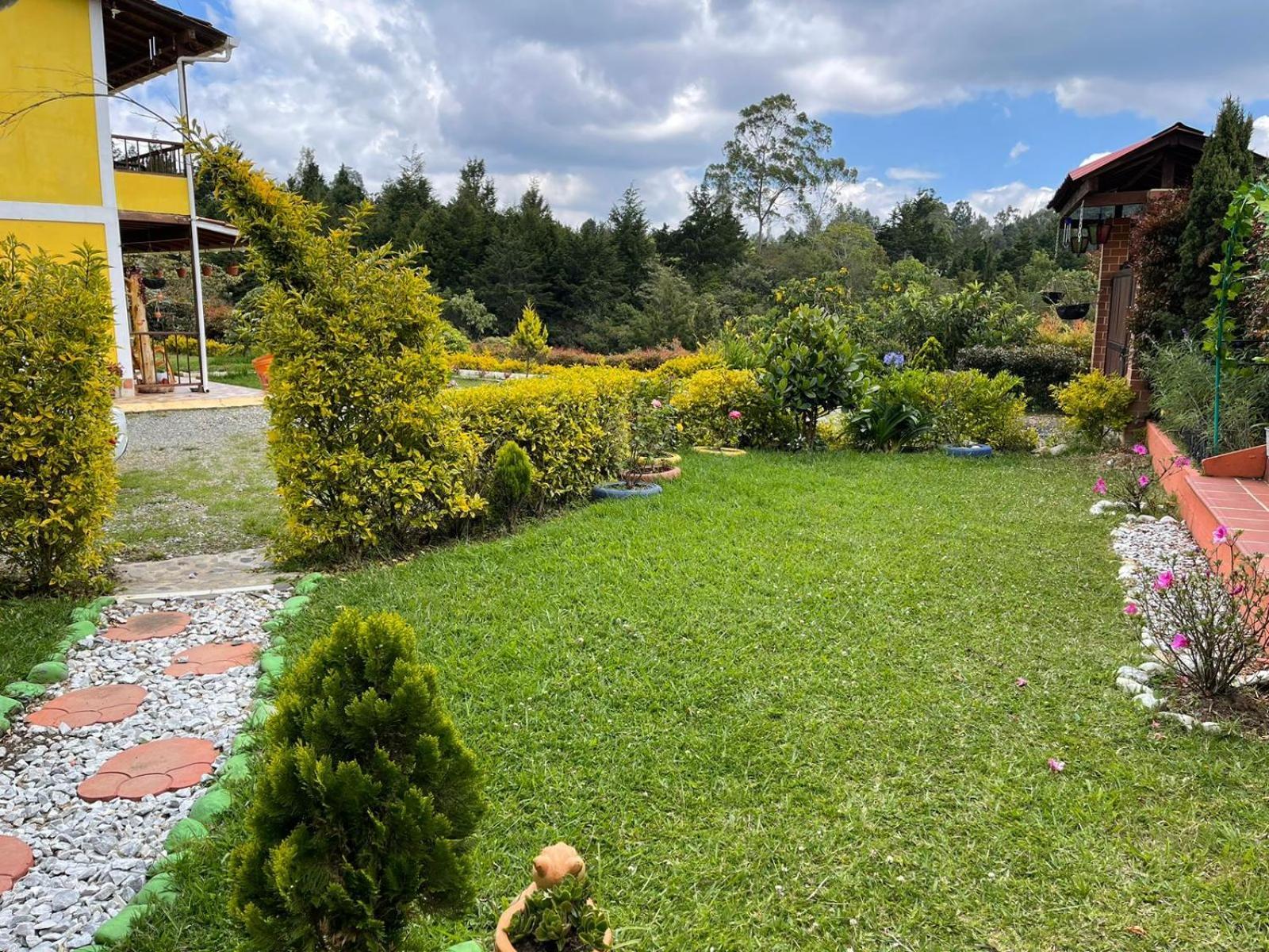 Katy * Medellín